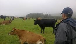 Glenapp revisited: South Ayrshire